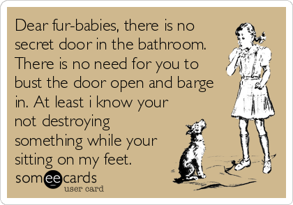 Dear fur-babies, there is no
secret door in the bathroom.
There is no need for you to
bust the door open and barge
in. At least i know your
not destroying
something while your
sitting on my feet.