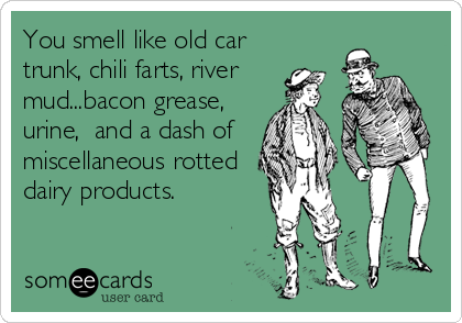 You smell like old car
trunk, chili farts, river
mud...bacon grease,
urine,  and a dash of
miscellaneous rotted
dairy products.