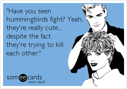 "Have you seen
hummingbirds fight? Yeah,
they're really cute...
despite the fact
they're trying to kill
each other."