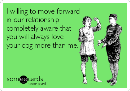 I willing to move forward
in our relationship
completely aware that
you will always love
your dog more than me.