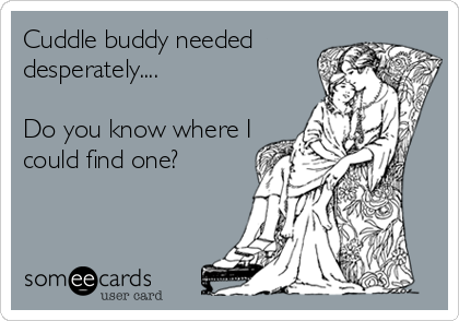 Cuddle buddy needed
desperately....

Do you know where I
could find one?