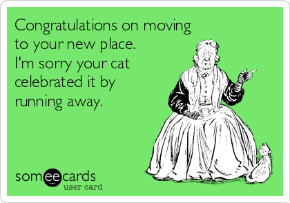 Congratulations on moving
to your new place.
I'm sorry your cat
celebrated it by
running away.