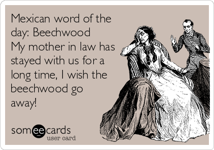 Mexican word of the
day: Beechwood
My mother in law has
stayed with us for a
long time, I wish the
beechwood go
away!