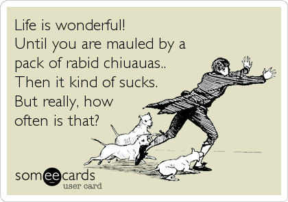 Life is wonderful!
Until you are mauled by a
pack of rabid chiuauas..
Then it kind of sucks.
But really, how
often is that?