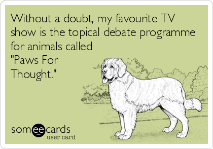 Without a doubt, my favourite TV
show is the topical debate programme
for animals called
"Paws For
Thought."