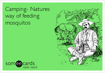Camping- Natures
way of feeding
mosquitos