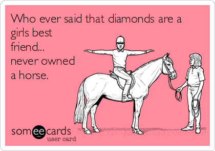 Who ever said that diamonds are a
girls best
friend...
never owned
a horse.