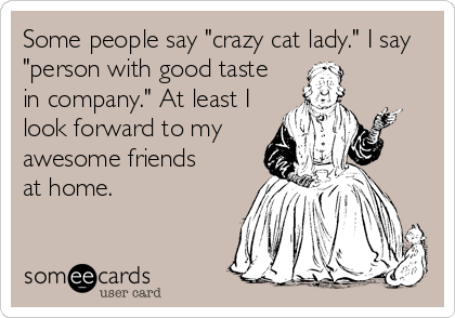 Some people say "crazy cat lady." I say
"person with good taste 
in company." At least I 
look forward to my
awesome friends 
at home.