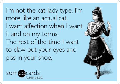 I’m not the cat-lady type. I’m
more like an actual cat.  
I want affection when I want
it and on my terms. 
The rest of the time I want
to claw out your eyes and
piss in your shoe.
