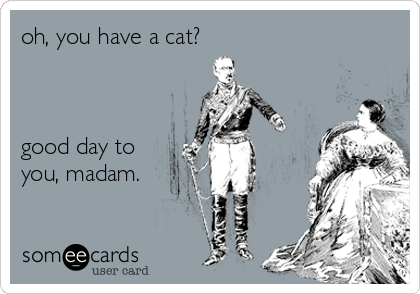 oh, you have a cat?



good day to
you, madam.