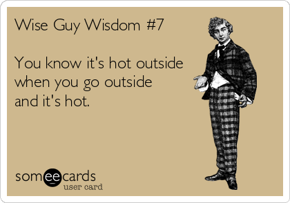 Wise Guy Wisdom #7

You know it's hot outside
when you go outside 
and it's hot.
