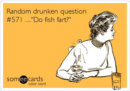 Random drunken question
#571 ....."Do fish fart?"
