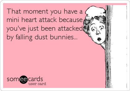 That moment you have a
mini heart attack because
you've just been attacked
by falling dust bunnies...