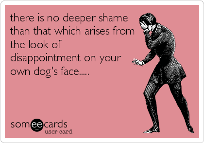 there is no deeper shame
than that which arises from
the look of
disappointment on your
own dog's face.....