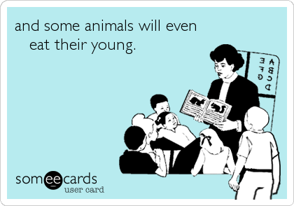 and some animals will even  
   eat their young.