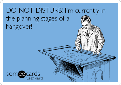 DO NOT DISTURB! I'm currently in
the planning stages of a
hangover!