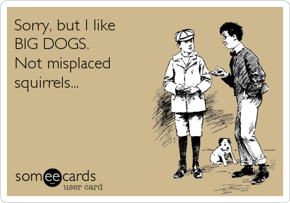 Sorry, but I like
BIG DOGS.  
Not misplaced
squirrels...