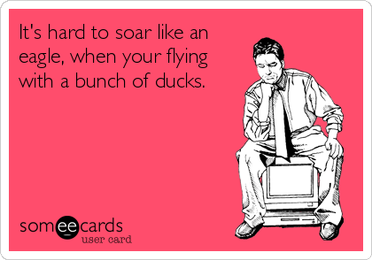It's hard to soar like an
eagle, when your flying
with a bunch of ducks.
