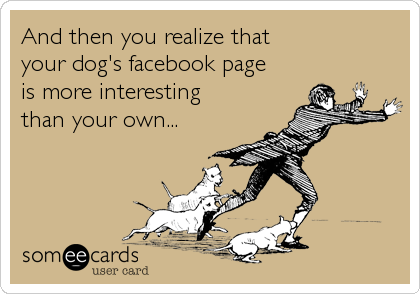 And then you realize that 
your dog's facebook page 
is more interesting 
than your own...