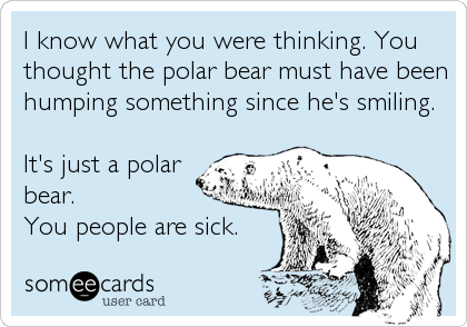 I know what you were thinking. You
thought the polar bear must have been
humping something since he's smiling.

It's just a polar
bear. 
