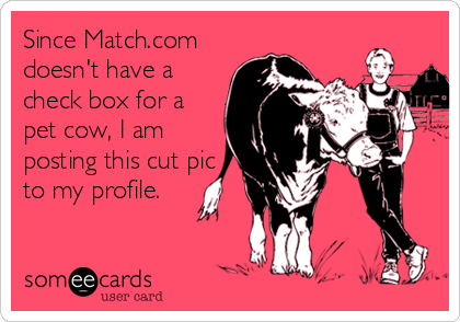Since Match.com
doesn't have a
check box for a
pet cow, I am
posting this cut pic
to my profile.