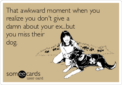 That awkward moment when you
realize you don't give a
damn about your ex...but 
you miss their
dog.