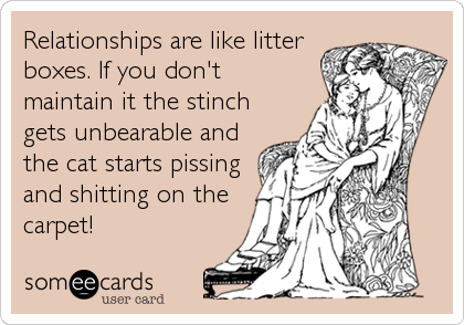 Relationships are like litter
boxes. If you don't
maintain it the stinch
gets unbearable and
the cat starts pissing
and shitting on the
carpet!