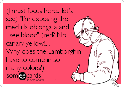 (I must focus here....let's
see) "I'm exposing the
medulla oblongata and
I see blood" (red? No
canary yellow!....
Why does the Lamborghini
have to come in so
many colors?)