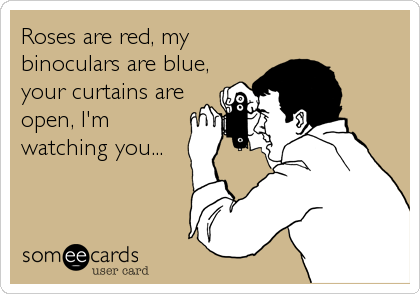 Roses are red, my
binoculars are blue,
your curtains are
open, I'm
watching you...