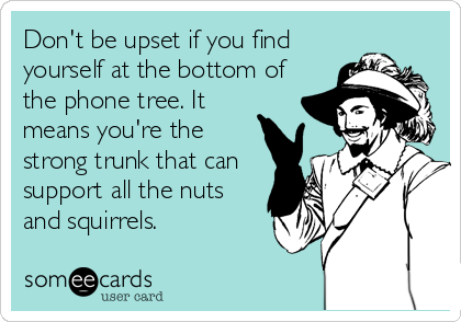 Don't be upset if you find
yourself at the bottom of
the phone tree. It
means you're the
strong trunk that can
support all the nuts
and%2