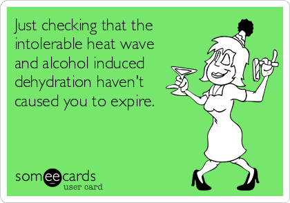 Just checking that the
intolerable heat wave
and alcohol induced
dehydration haven't 
caused you to expire.