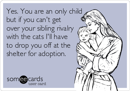 Yes. You are an only child
but if you can't get
over your sibling rivalry
with the cats I'll have
to drop you off at the
shelter for adoption.