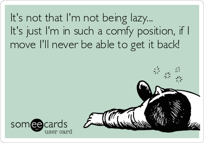 It's not that I'm not being lazy...
It's just I'm in such a comfy position, if I
move I'll never be able to get it back!