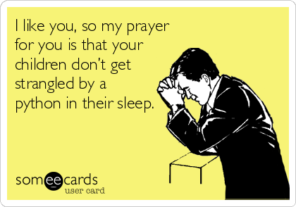 I like you, so my prayer
for you is that your
children don’t get
strangled by a
python in their sleep.