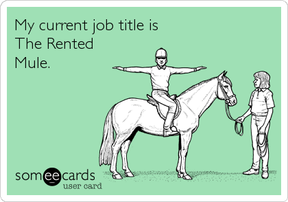 My current job title is
The Rented
Mule.