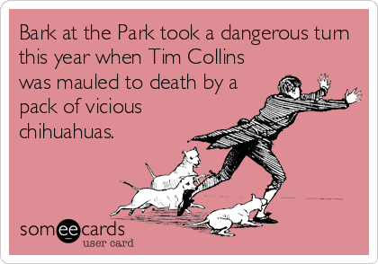 Bark at the Park took a dangerous turn
this year when Tim Collins
was mauled to death by a
pack of vicious
chihuahuas.