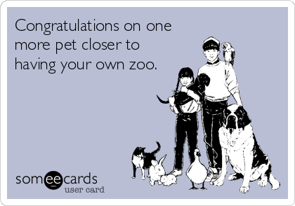 Congratulations on one
more pet closer to
having your own zoo.