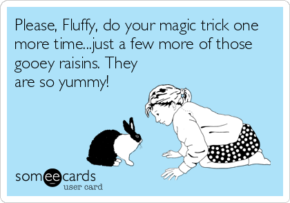 Please, Fluffy, do your magic trick one
more time...just a few more of those
gooey raisins. They
are so yummy!