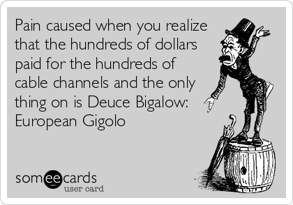 Pain caused when you realize
that the hundreds of dollars
paid for the hundreds of
cable channels and the only 
thing on is Deuce Bigalow:
European Gigolo