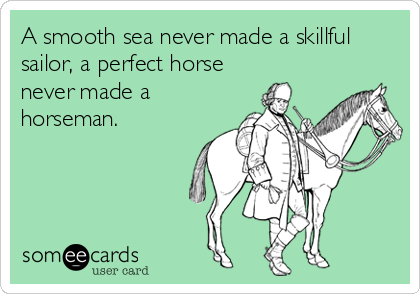 A smooth sea never made a skillful
sailor, a perfect horse
never made a
horseman.