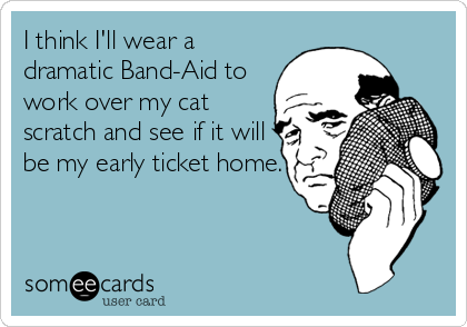 I think I'll wear a
dramatic Band-Aid to
work over my cat
scratch and see if it will
be my early ticket home.