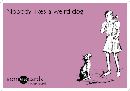 Nobody likes a weird dog.