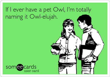 If I ever have a pet Owl, I'm totally
naming it Owl-elujah.