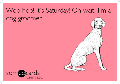 Woo hoo! It's Saturday! Oh wait...I'm a
dog groomer.
