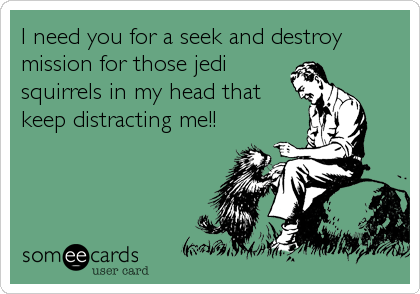 I need you for a seek and destroy
mission for those jedi
squirrels in my head that
keep distracting me!!