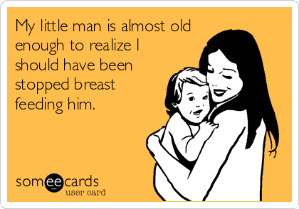 My little man is almost old
enough to realize I
should have been
stopped breast
feeding him.