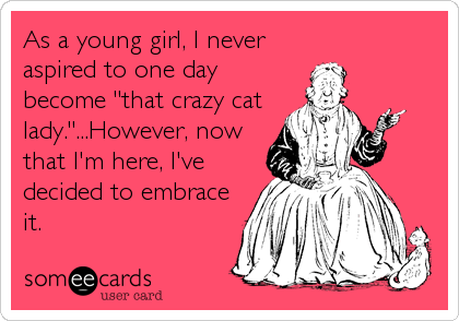 As a young girl, I never
aspired to one day
become "that crazy cat
lady."...However, now
that I'm here, I've
decided to embrace
it.