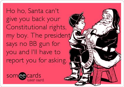 Ho ho, Santa can't
give you back your
Constitutional rights,
my boy. The president
says no BB gun for
you and I'll have to
report you%2