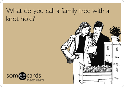 What do you call a family tree with a
knot hole?