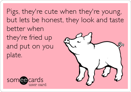 Pigs, they're cute when they're young,
but lets be honest, they look and taste
better when
they're fried up
and put on you
plate.